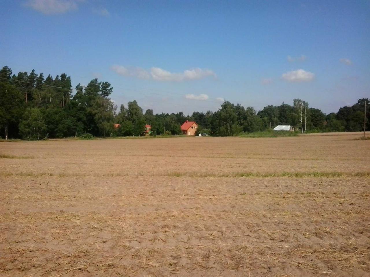Holzmichel _ Pinocchio Appartamento Lärz Esterno foto